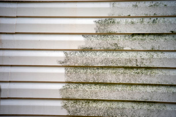 Best Stucco Siding  in Woodlake, CA