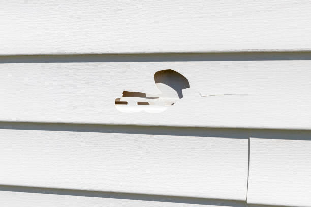 Best Siding Painting and Refinishing  in Woodlake, CA