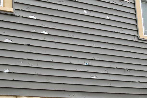 Best Stucco Siding  in Woodlake, CA